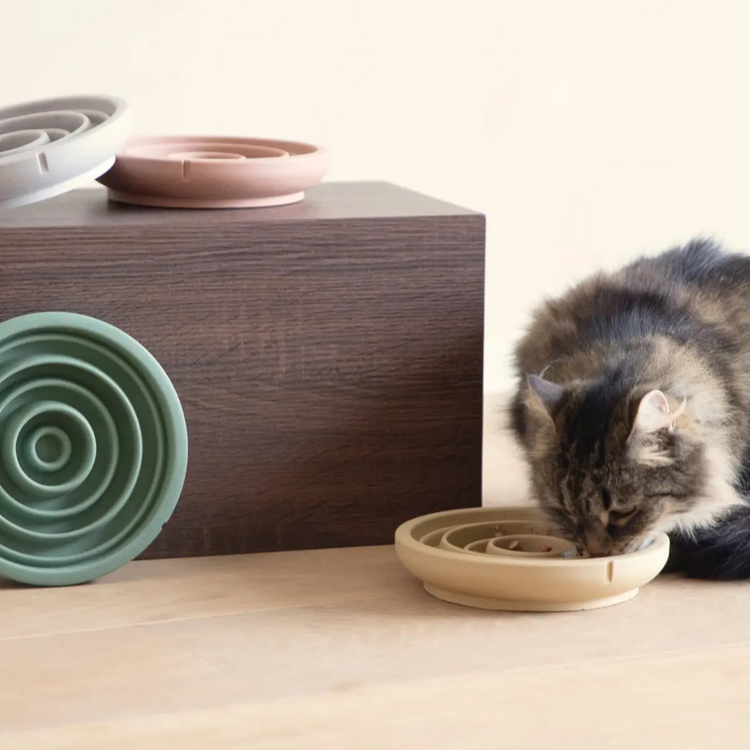 Kattenverzorging