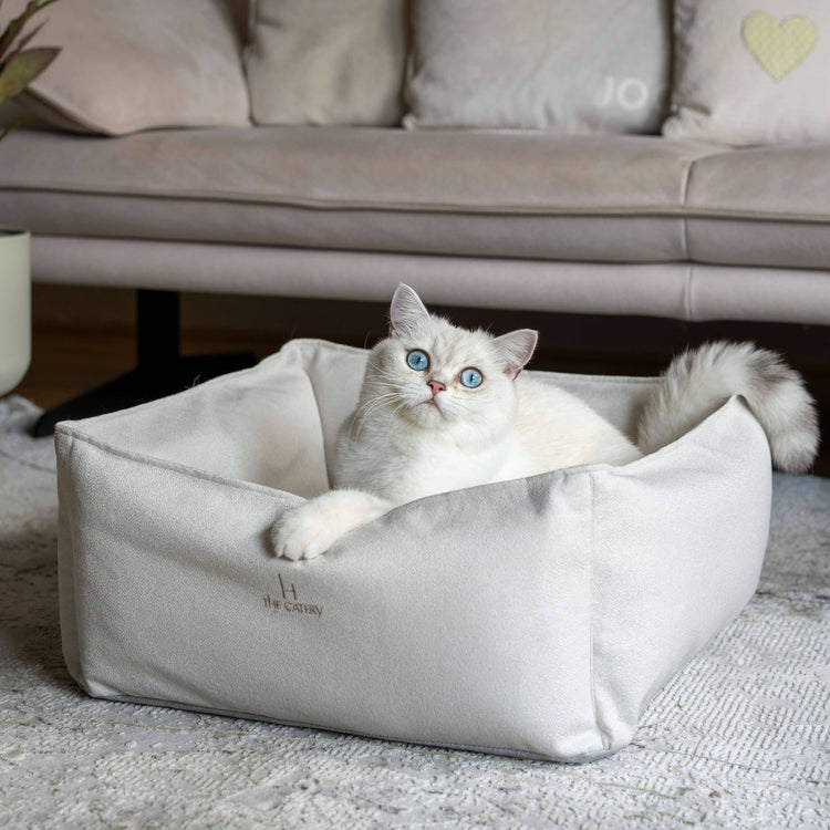 Kattenmanden - en kussens