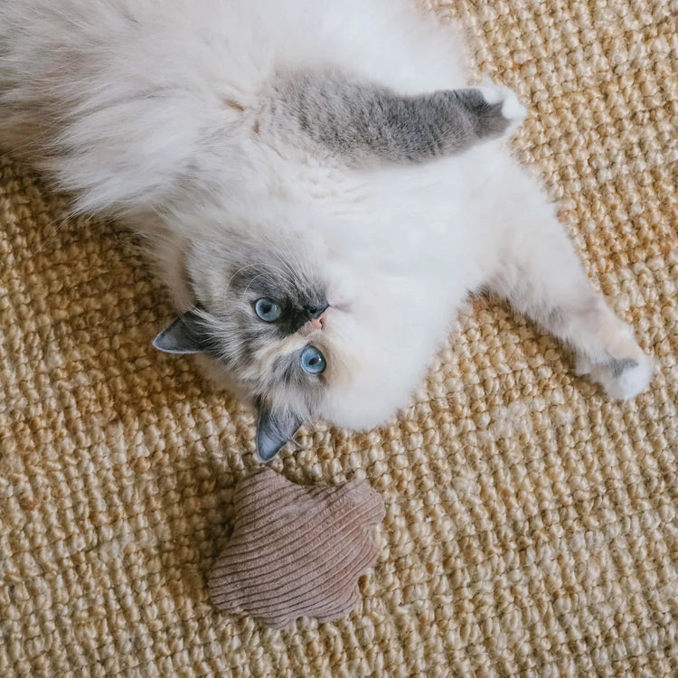 Duurzame, handgemaakte kattenproducten
