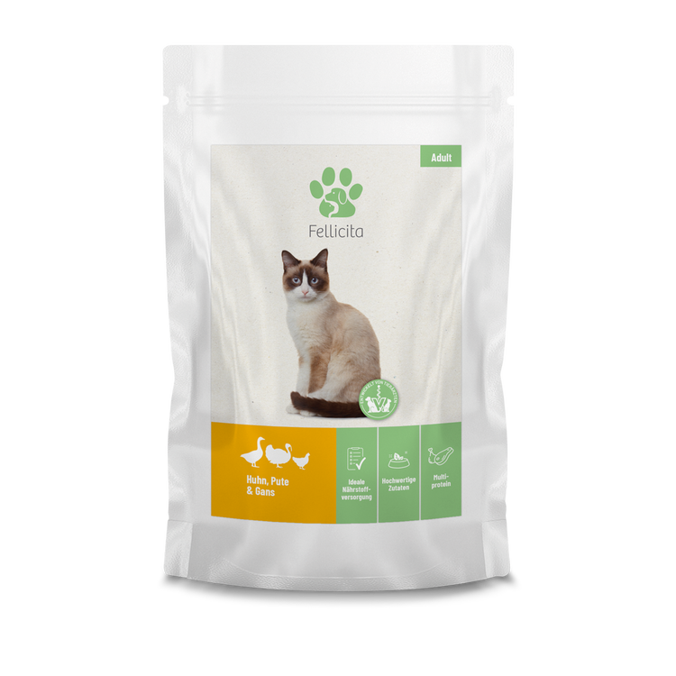 Kattenvoer