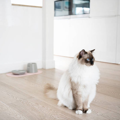 Cat Food Bowl Mat Placemat BPA Free