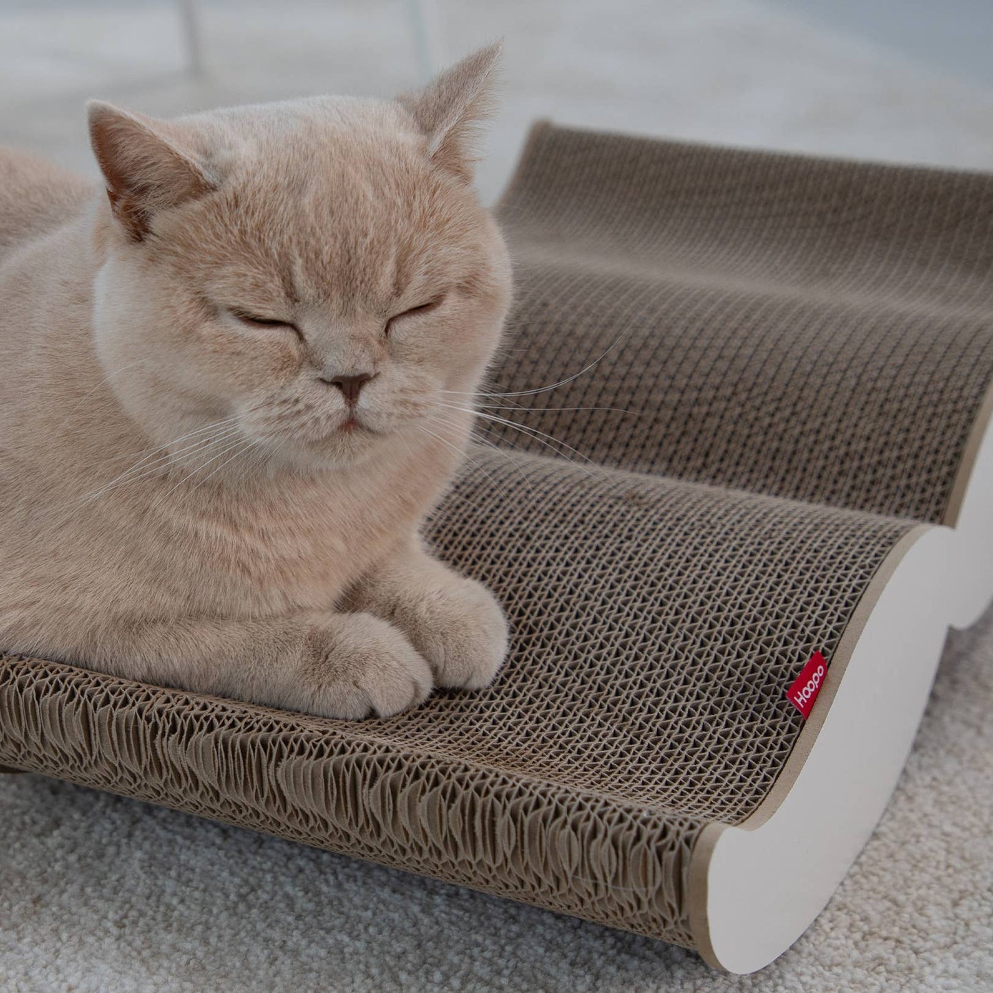 Hoopo Scratching Furniture for Scratching Black