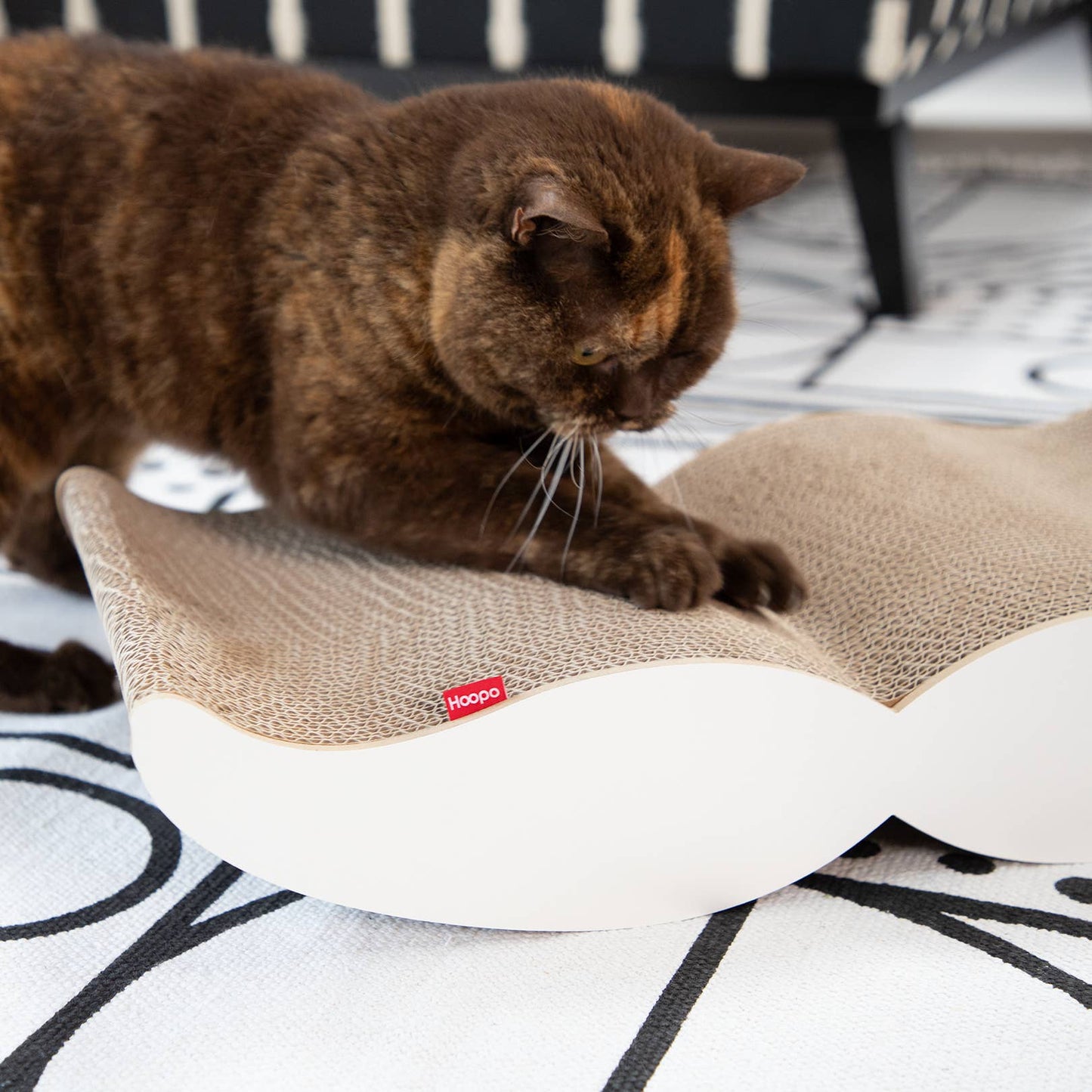 Hoopo Scratching Furniture for Scratching Black