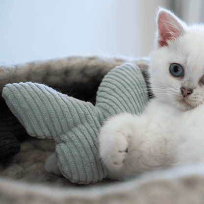 Valerian/Catnip Butterfly Pillow: Catnip