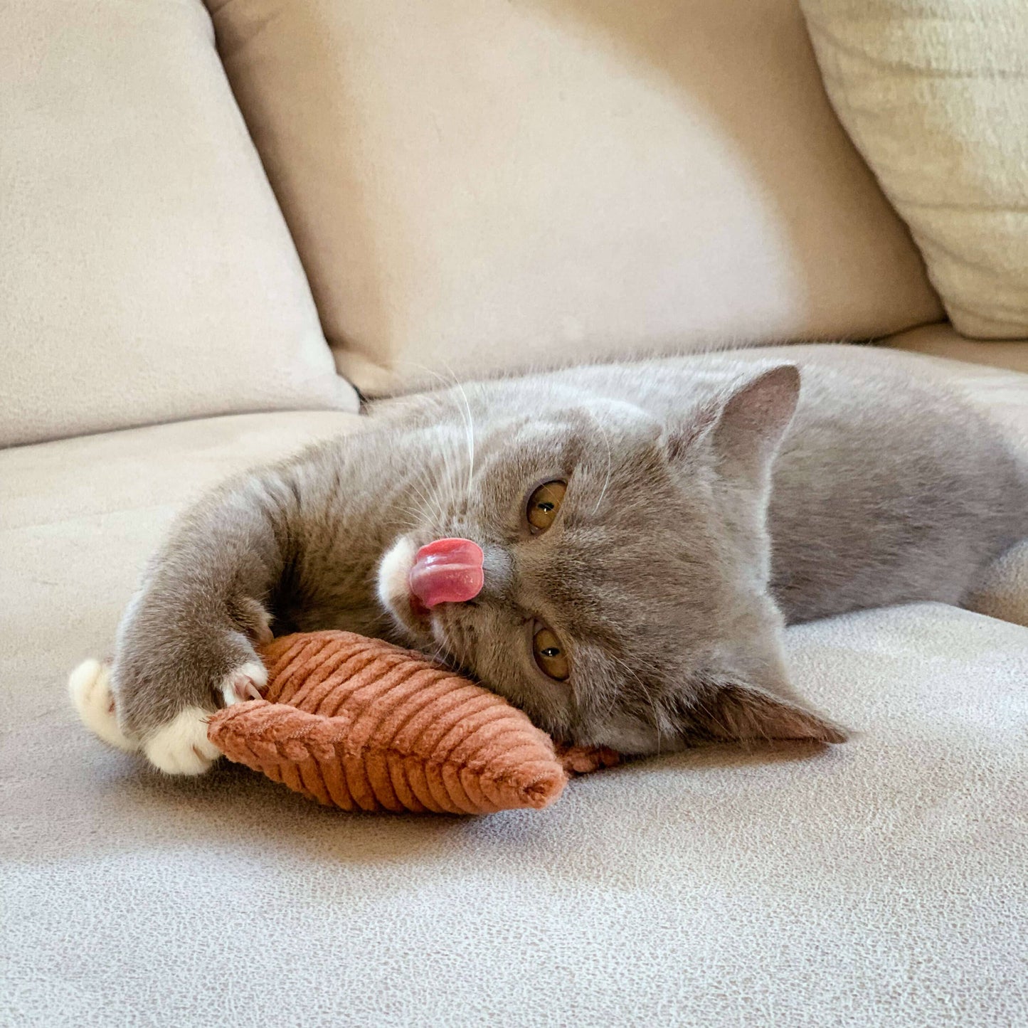Kussen met zeestergeur: Kattenkruid