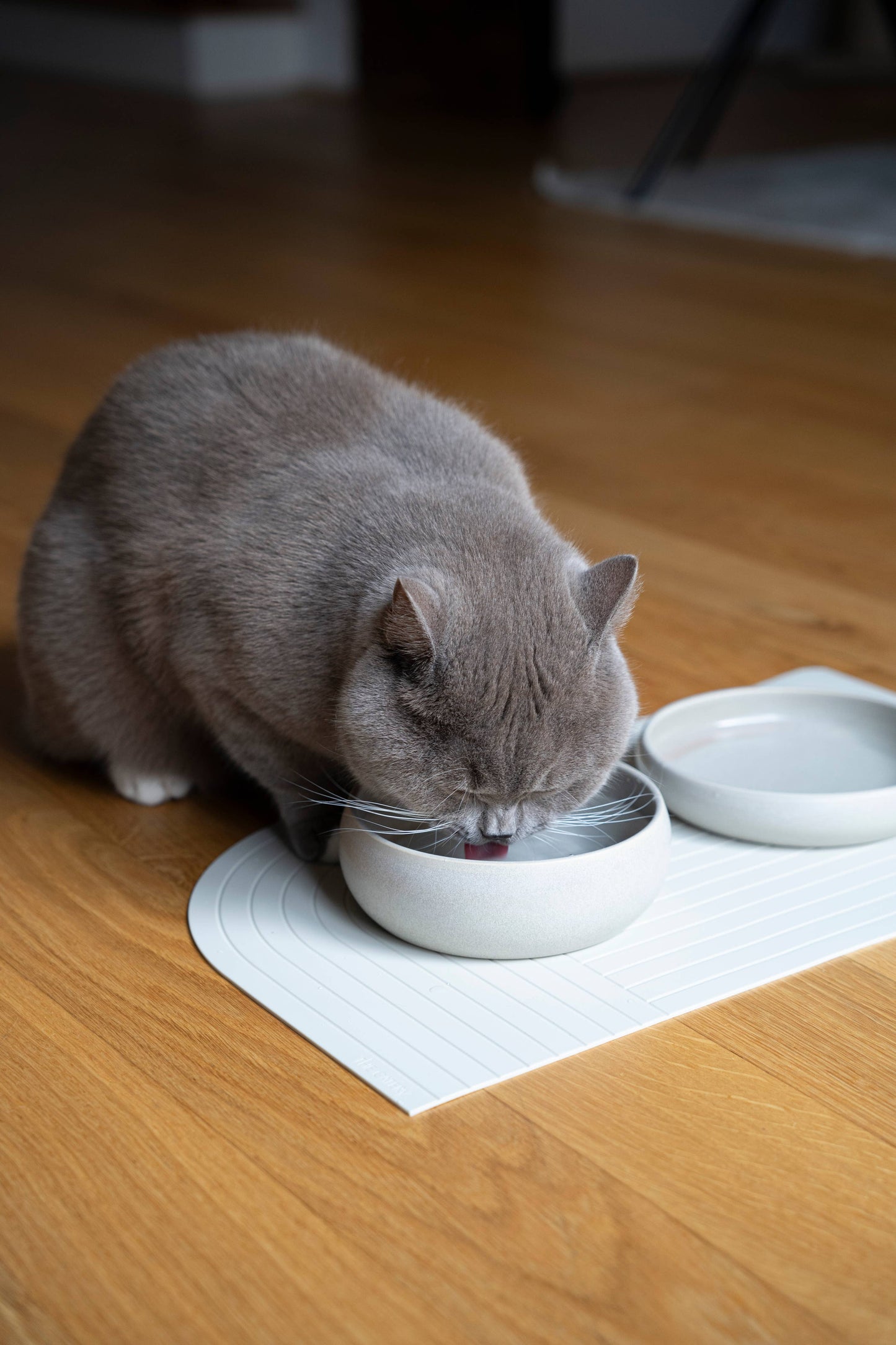 Gourmet Food Bowl Cream: Beige