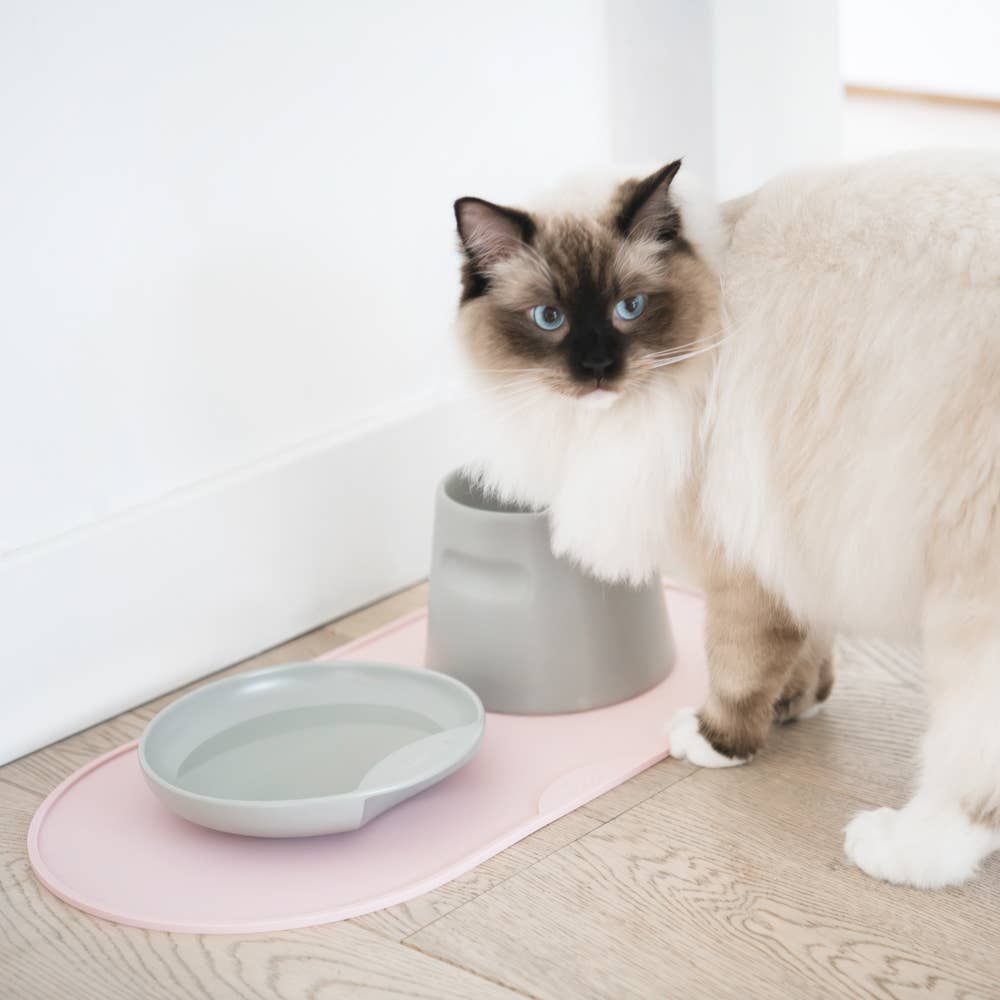 Cat Food Bowl Mat Placemat BPA Free