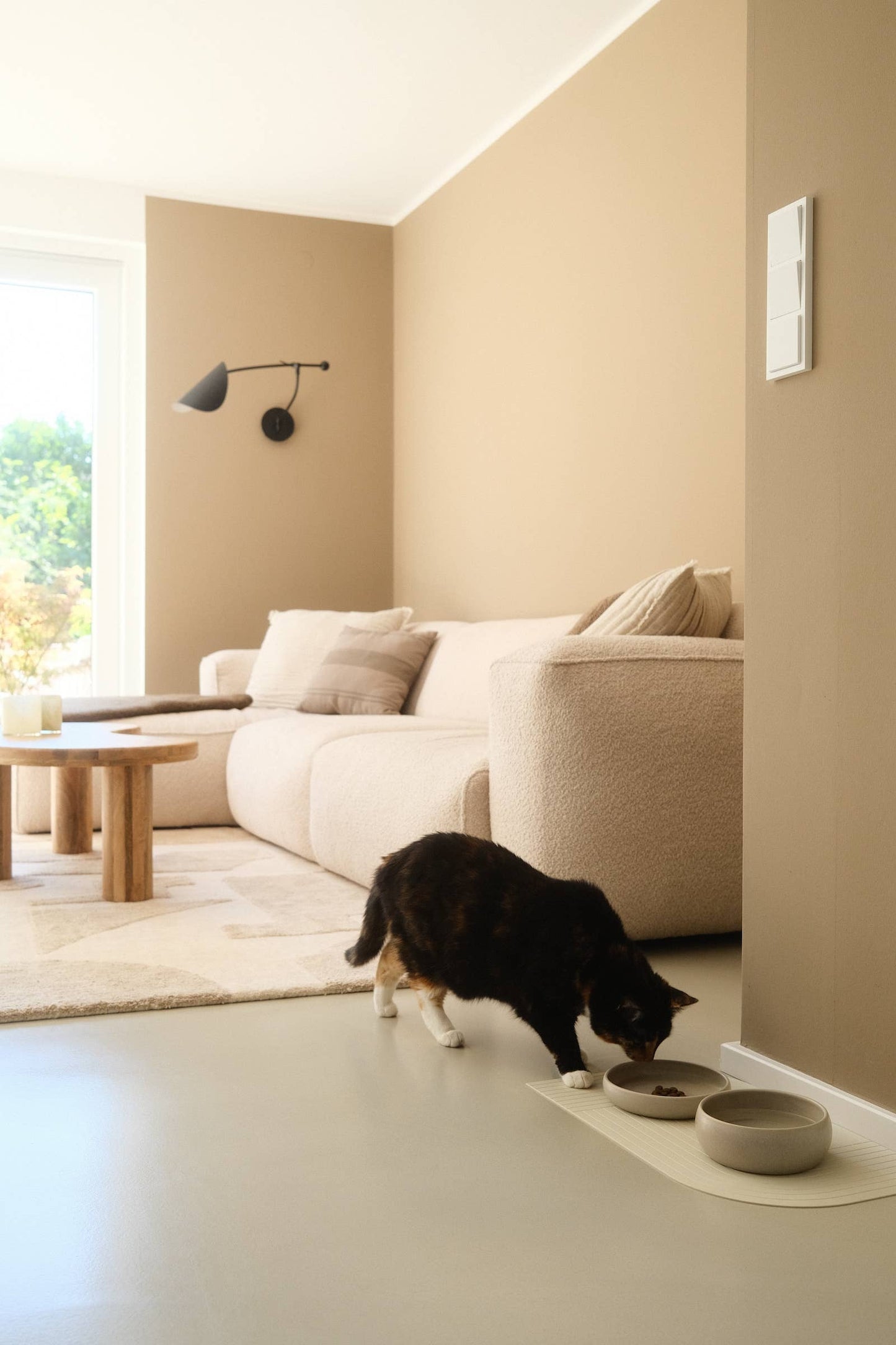 Gourmet Food Bowl Cream: Beige