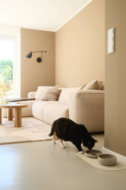 Gourmet Food Bowl Cream: Beige